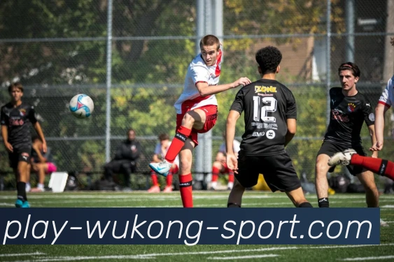 悟空体育品牌故事